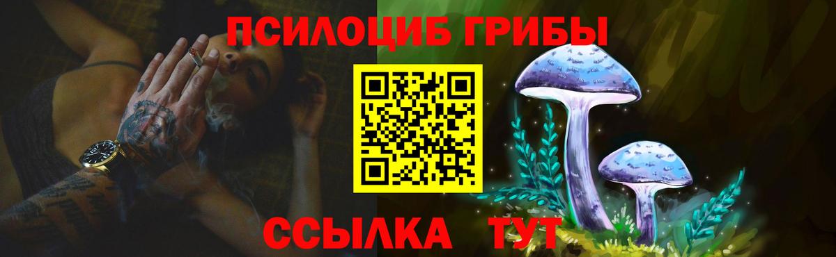купить закладку  Галлюциногенные грибы прущие грибы  Якутск  Вход с VPN  Галлюциногенные грибы ЛСД 